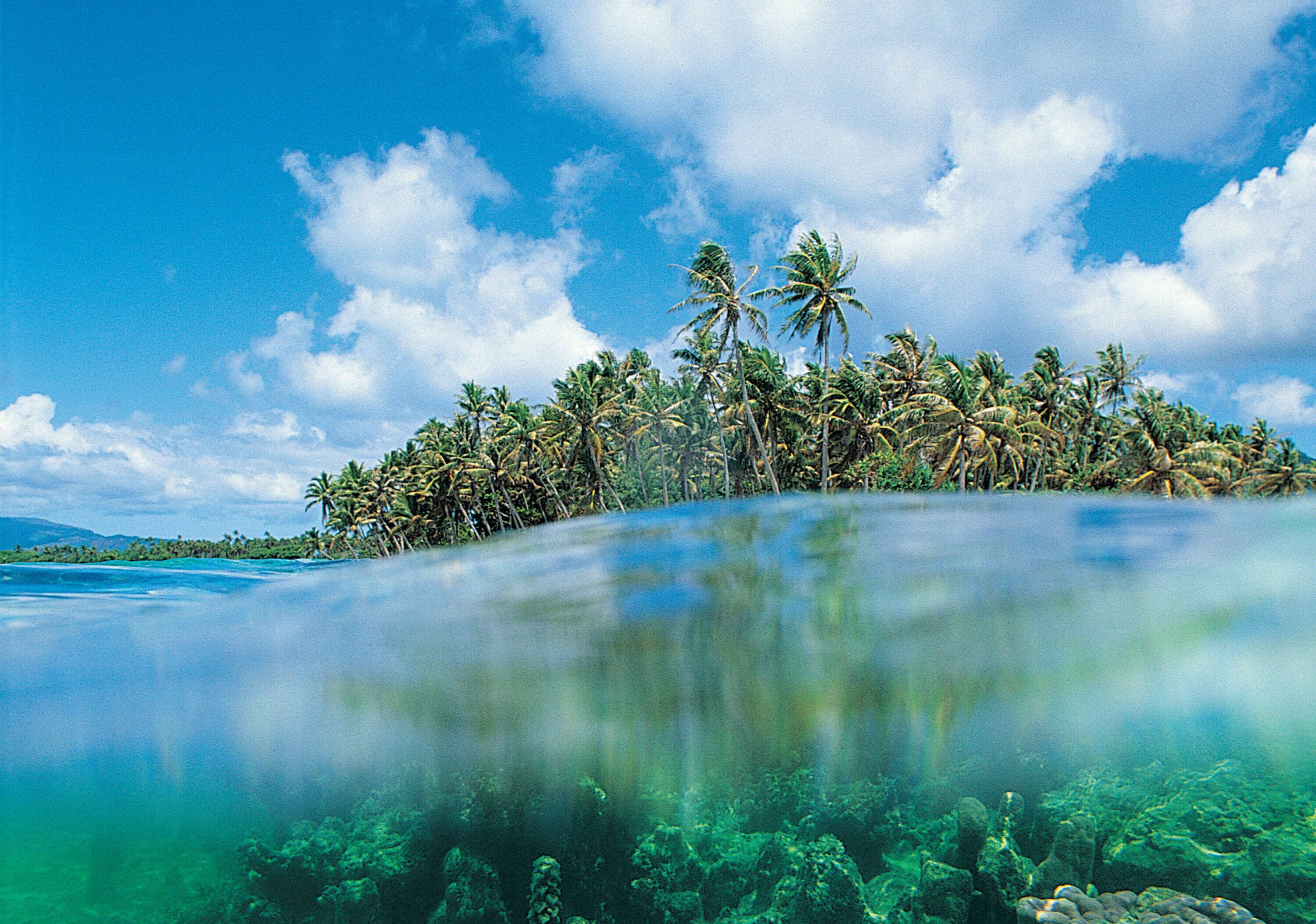 Regional Focal Point for Asia and the Pacific - International Science ...